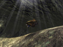 AquaNox 2: Revelation, Steam Gift