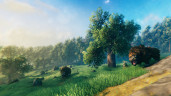 Valheim, Steam Gift