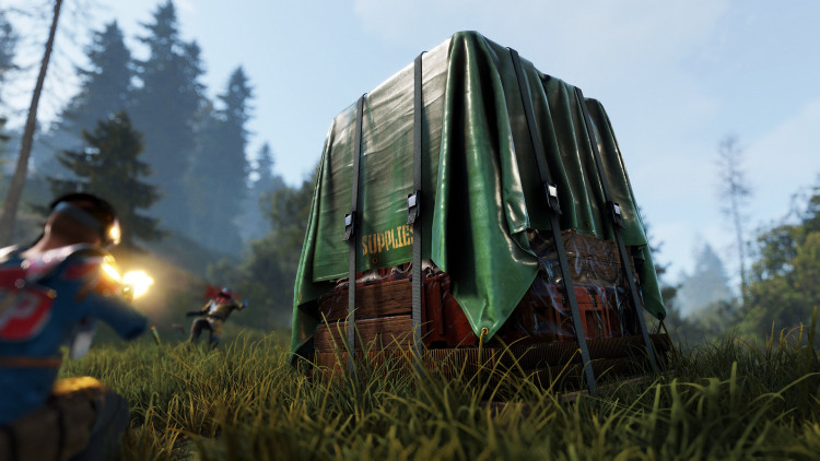 Rust, Steam Gift