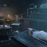 Autopsy Simulator - Deluxe Edition, Steam Gift