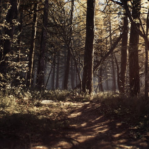 Blair Witch
