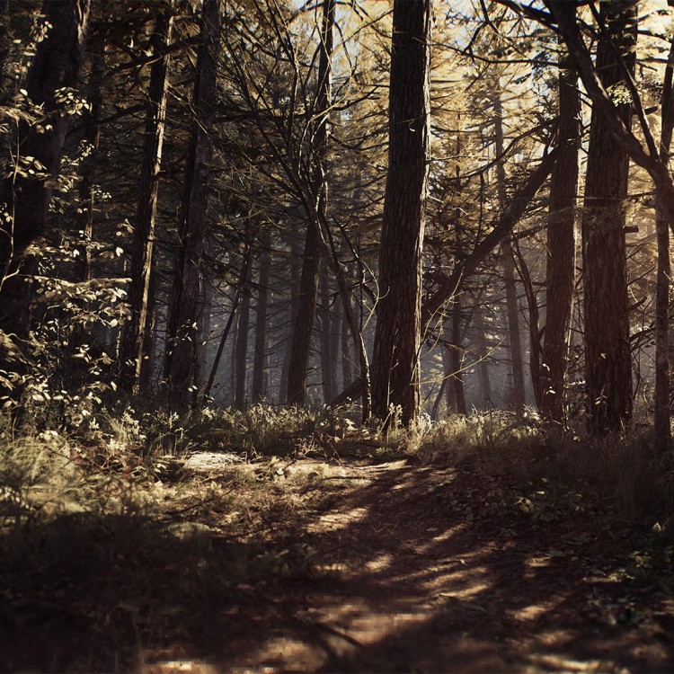 Blair Witch