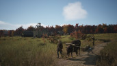 Manor Lords, Steam Gift