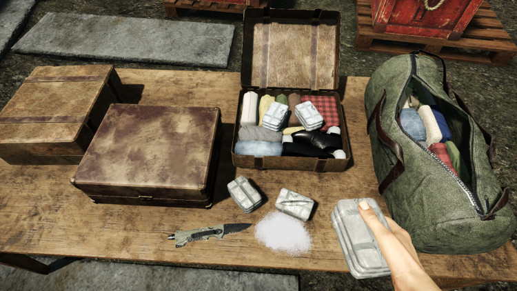 Contraband Police, Steam Gift