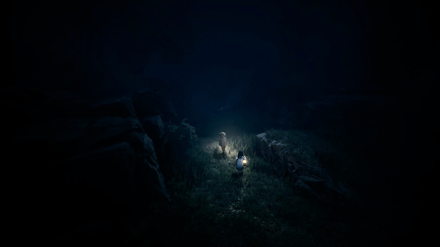 REANIMAL, Steam Gift