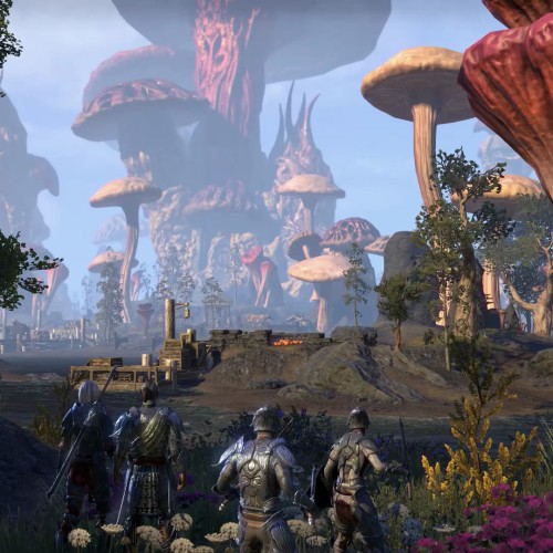Игра The Elder Scrolls Online+Morrowind для PC / ПК, активация в стим Steam для региона РФ / Россия цифровой ключ