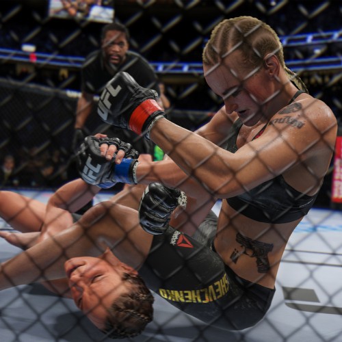 Игра UFC 4 Deluxe Edition PlayStation 4 и PlayStation 5