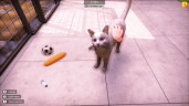 Animal Shelter 2, Steam Gift