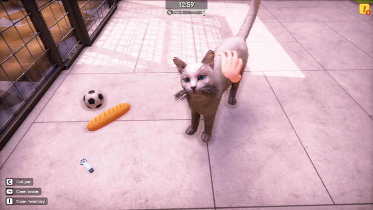 Animal Shelter 2, Steam Gift