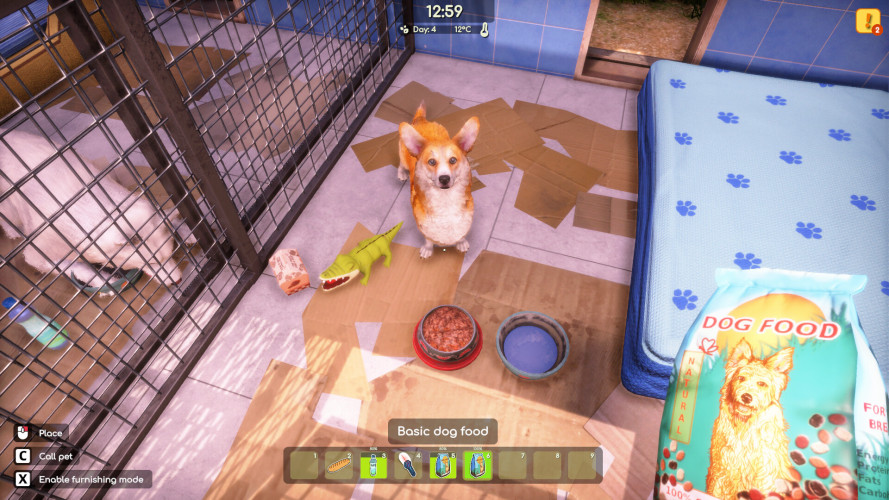 Animal Shelter 2, Steam Gift