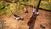 Animal Shelter 2, Steam Gift