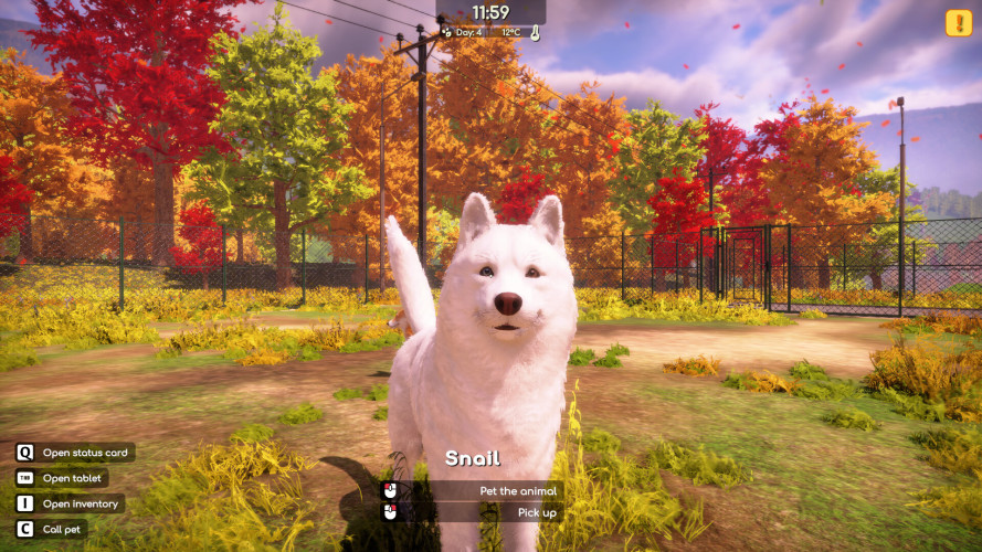 Animal Shelter 2, Steam Gift
