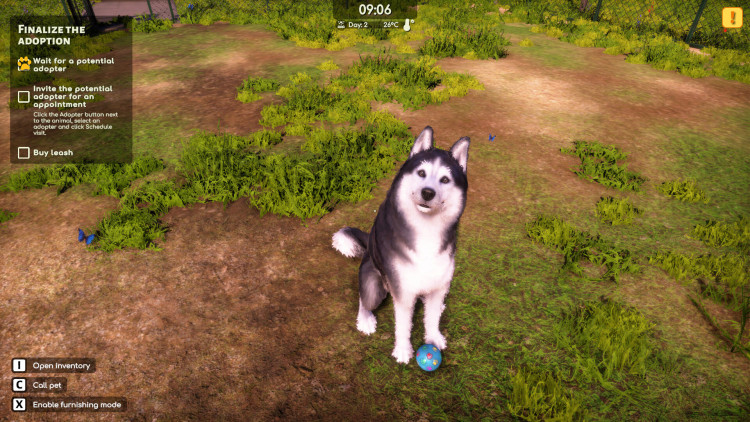 Animal Shelter 2, Steam Gift
