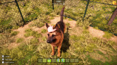 Animal Shelter 2, Steam Gift