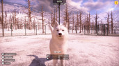 Animal Shelter 2, Steam Gift