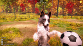 Animal Shelter 2, Steam Gift