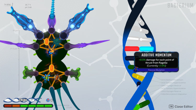 Pathogenic, Steam Gift