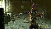 Fallout 3, Steam Gift