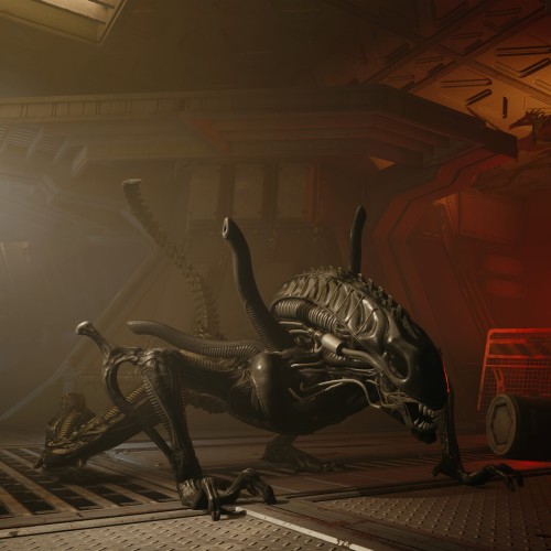 Игра Alien: Rogue Incursion - Standart Edition PlayStation 5