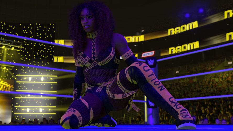 WWE 2K26 Attitude Era Edition, Steam Gift