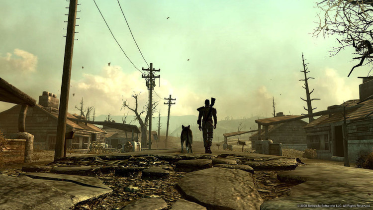 Fallout 3: Game of the Year Edition, Steam Gift