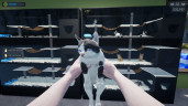 Exotica 2: Pet Shop Simulator, Steam Gift