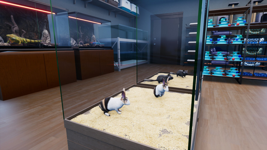 Exotica 2: Pet Shop Simulator, Steam Gift