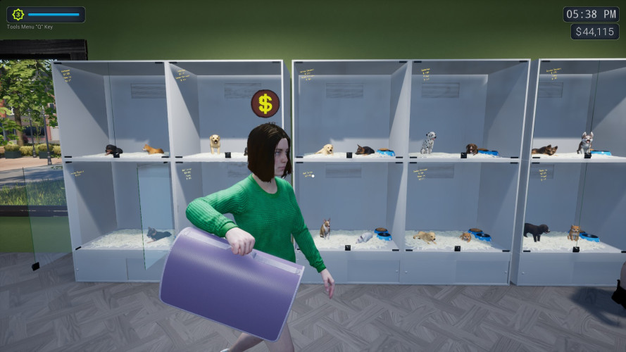Exotica 2: Pet Shop Simulator, Steam Gift