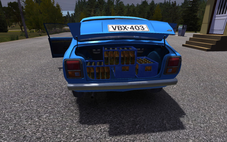My Summer Car, Steam Gift
