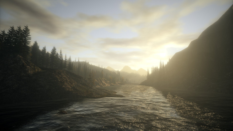 Alan Wake - Collector's Edition, Steam Gift