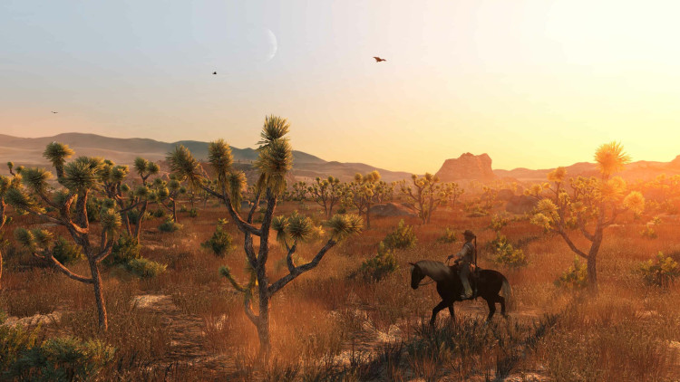 Red Dead Redemption, Steam Gift