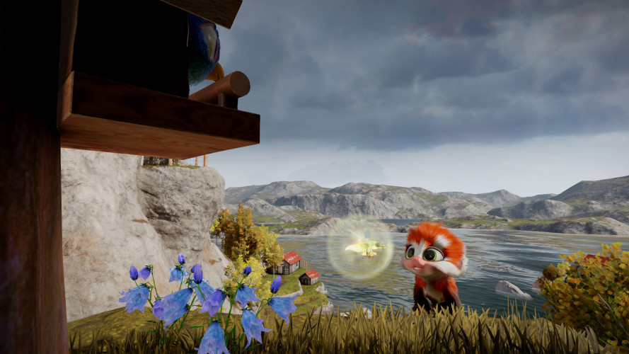 Tamarin, Steam Gift