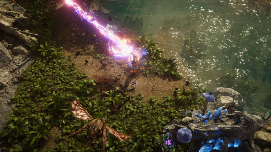 Last Epoch, Steam Gift