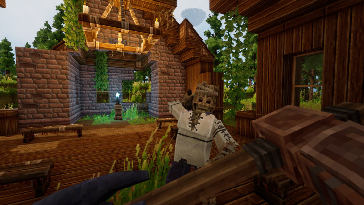 Everwind - Capybara Edition, Steam Gift
