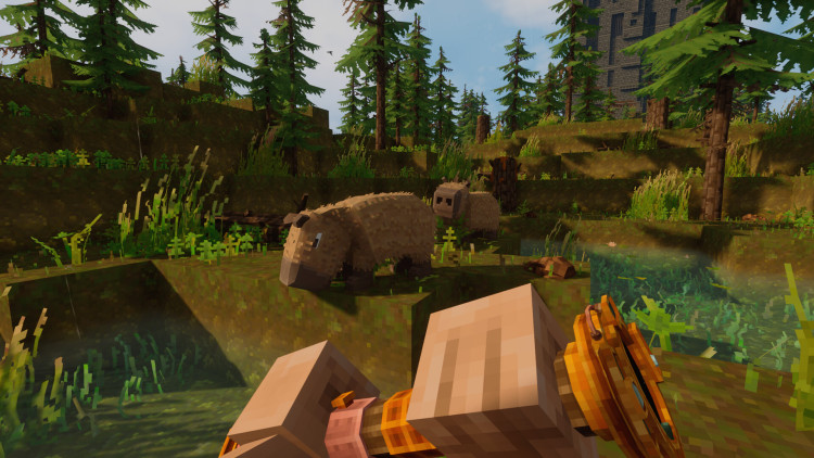 Everwind - Capybara Edition, Steam Gift