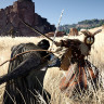 Игра Crimson Desert PlayStation 5