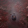 Игра SILENT HILL f для PC / ПК, активация в стим Steam для региона РФ / Россия цифровой ключ