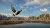 theHunter: Call of the Wild™, Steam Gift