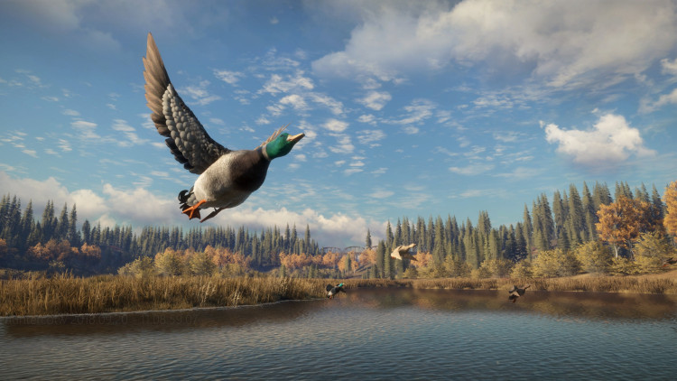 theHunter: Call of the Wild™, Steam Gift