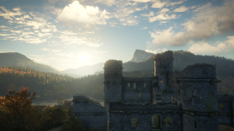 theHunter: Call of the Wild™, Steam Gift