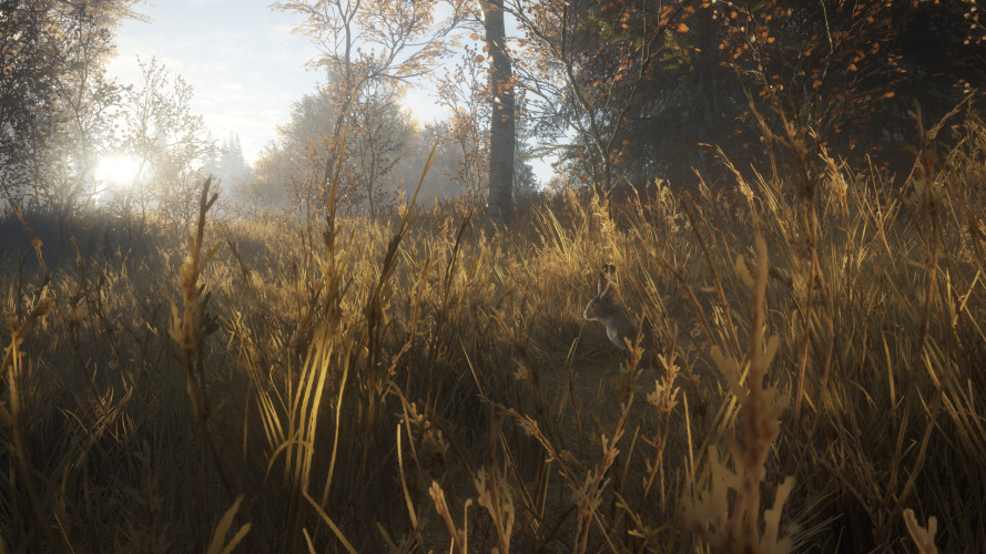 theHunter: Call of the Wild™, Steam Gift