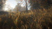 theHunter: Call of the Wild™, Steam Gift