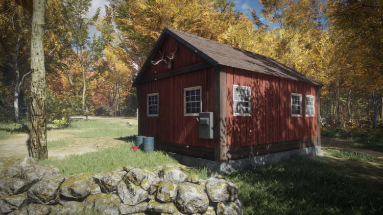 theHunter: Call of the Wild™, Steam Gift