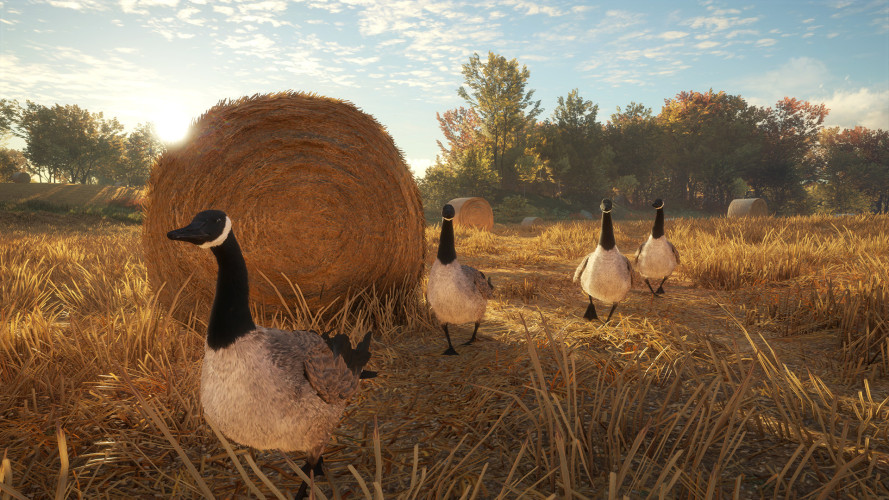 theHunter: Call of the Wild™, Steam Gift