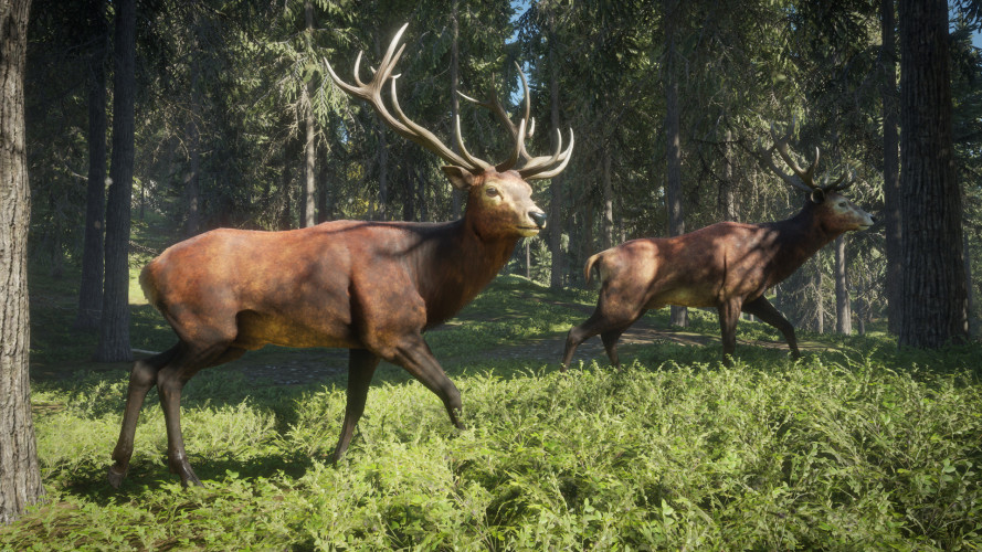 theHunter: Call of the Wild™, Steam Gift