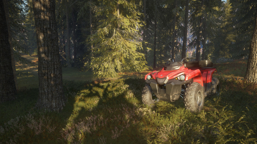 theHunter: Call of the Wild™, Steam Gift