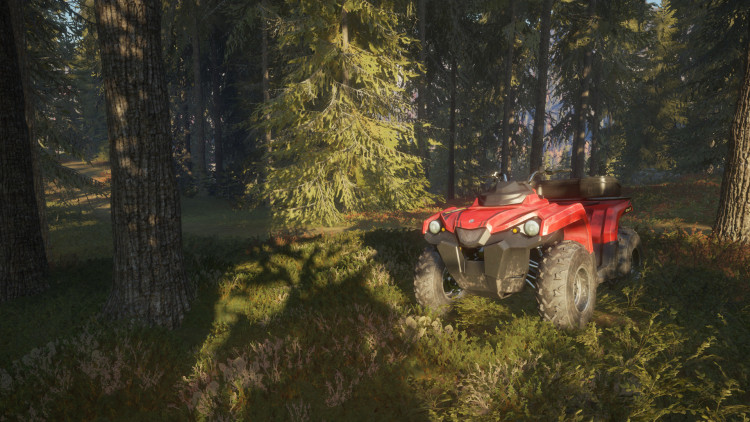 theHunter: Call of the Wild™, Steam Gift