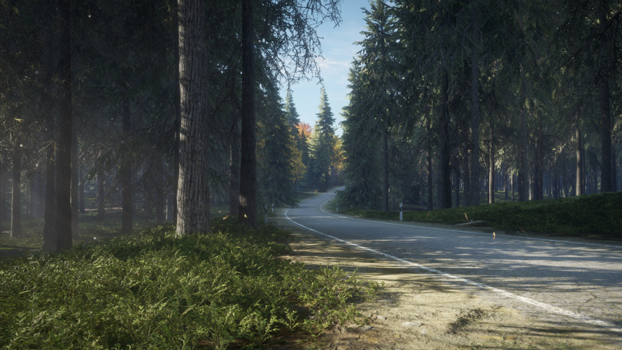 theHunter: Call of the Wild™, Steam Gift