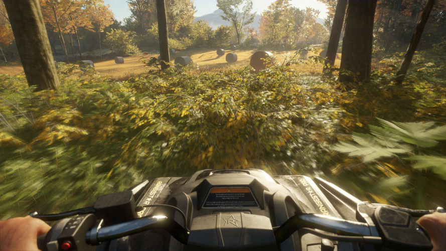 theHunter: Call of the Wild™, Steam Gift