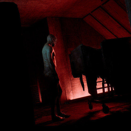 SILENT HILL: Townfall - Pre - Purchase, Steam Gift